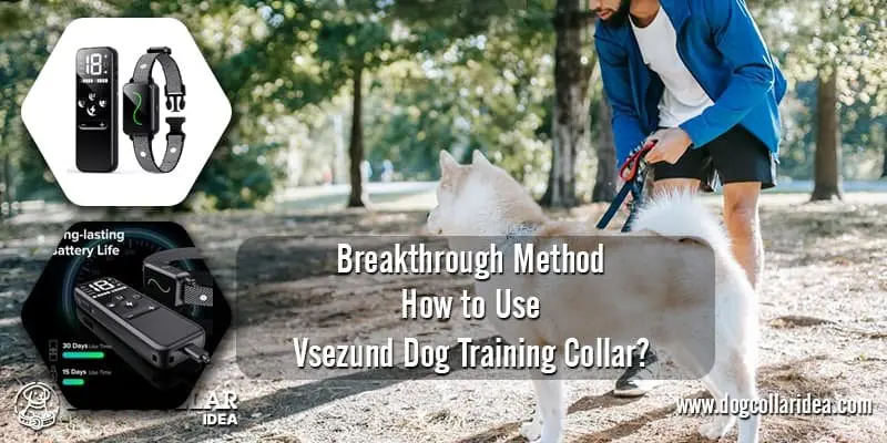 Vsezund Dog Training Collar